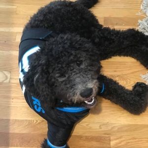 Meet your Posher, Jonathan